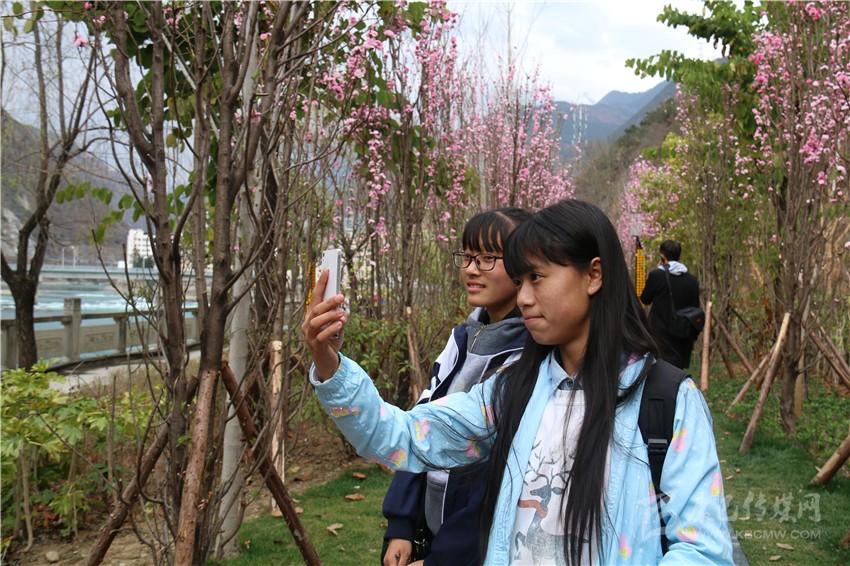 春光俏！“醉”是瀘定春三月，踏青賞花正當(dāng)時(shí)