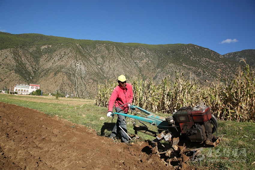 田園藏鄉(xiāng)美如畫，百姓脫貧喜在心