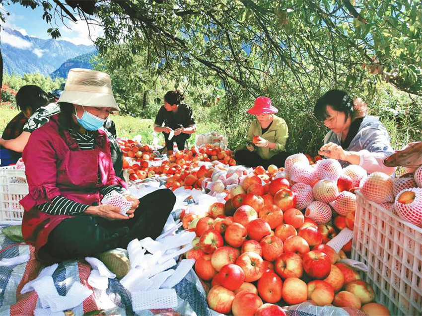 近日甲居.jpg 近日甲居.jpg