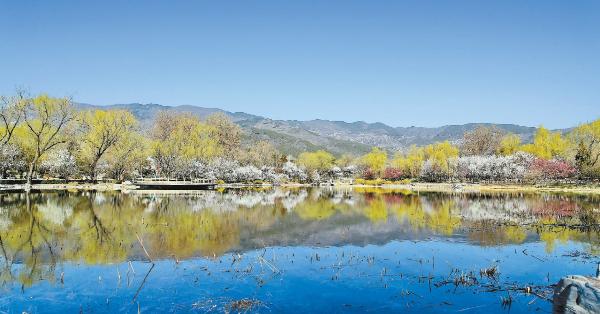 2022年全國(guó)森林.jpg